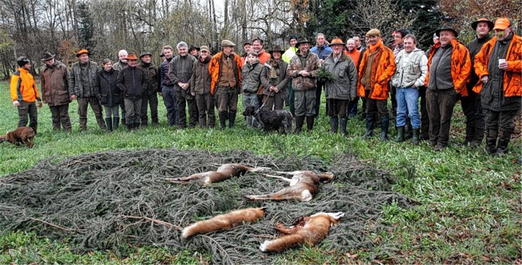 Wenig Waidmannsheil: Bei einer Drückjagd im Illinger Wald bekommen die meisten der 35 beteiligten Jäger kein Tier zu Gesicht – geschweige denn vor die Flinte.