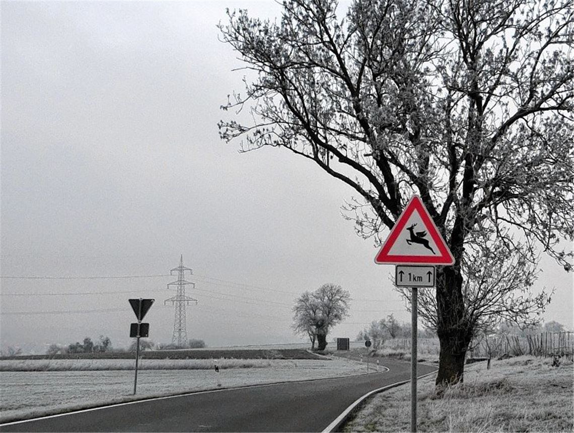 Winterzeit Winterzeit
