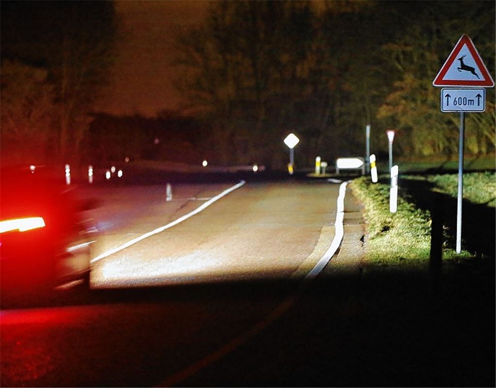 Wildunfälle: „Höheres Risiko im Winter“