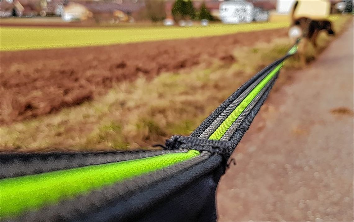 „Hund trifft am wenigsten die Schuld“