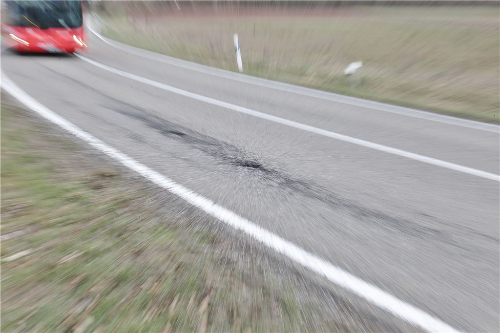 lh Straßenschäden Frost Enzkreis 2019 (3)