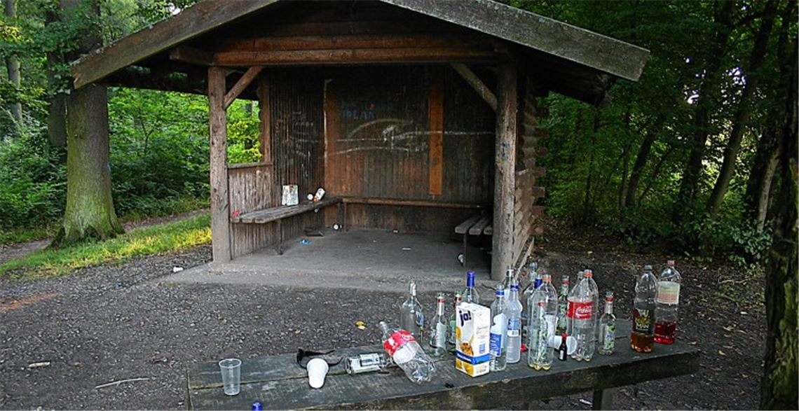 Wenn es so nach einer Wodka-Party an der Grillhütte aussieht, kann unschwer auf Alkoholmissbrauch geschlossen werden ...Foto: Kollros