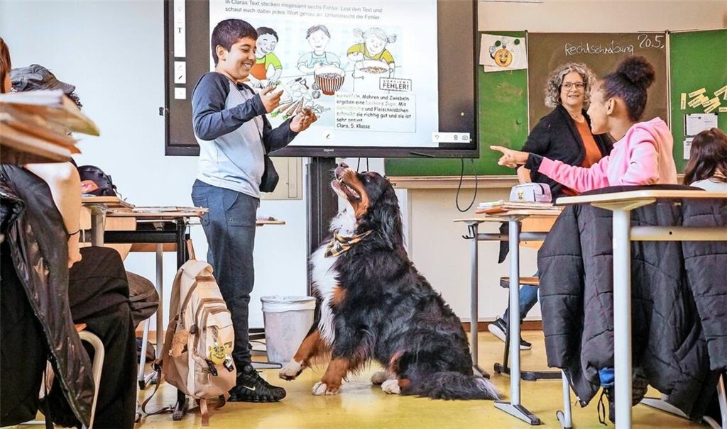 Wer gut mitarbeitet, darf Schulhund Alfred ein Leckerli zur Belohnung geben.