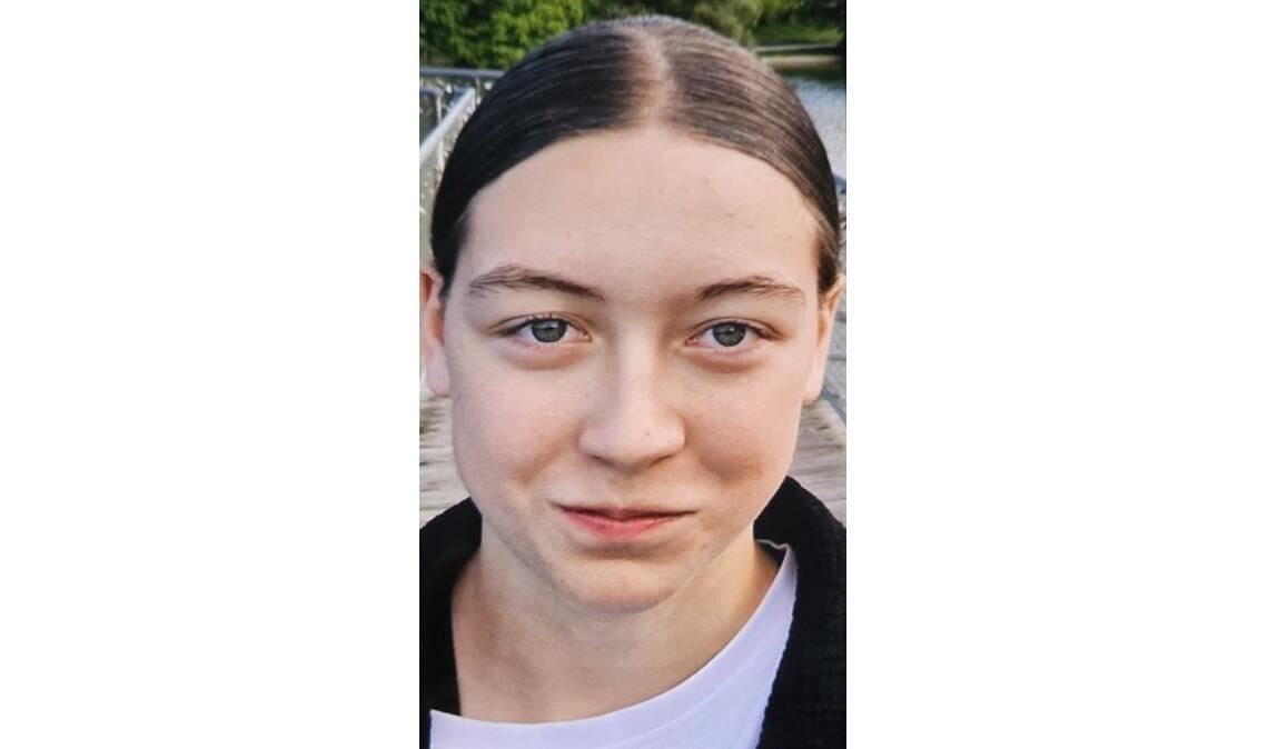 Wer hat dieses Mädchen gesehen? Foto: Polizei
