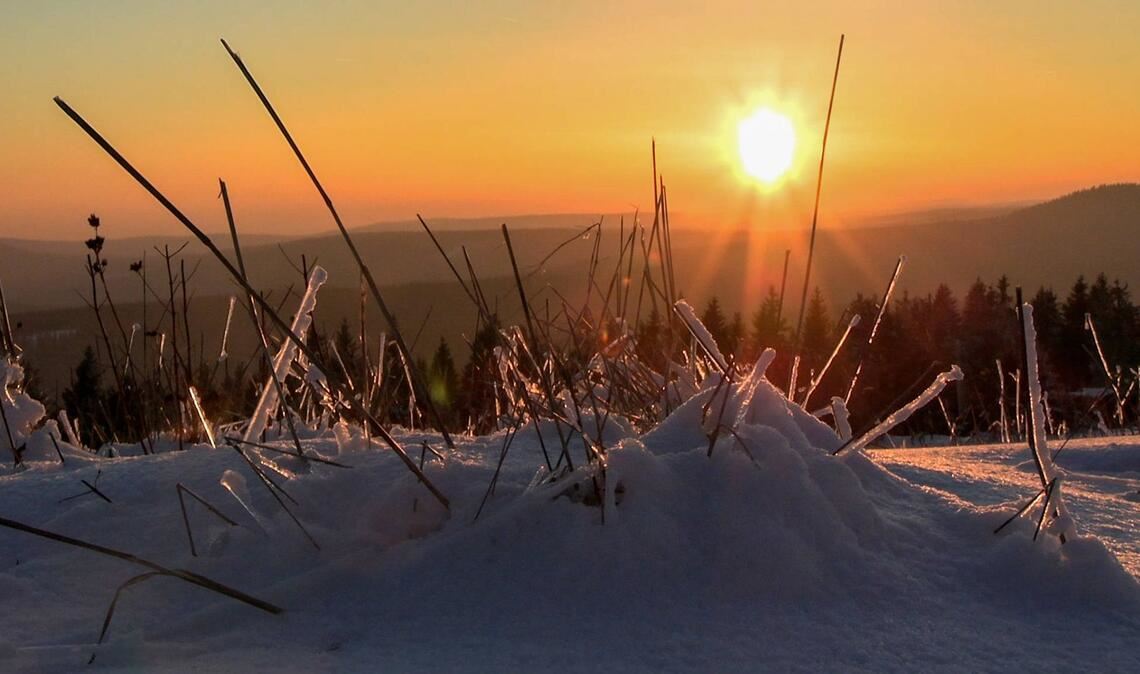Wer nicht genug von der Sonne bekommen kann, wird laut DWD den Dienstag und Mittwoch draußen richtig genießen können (Symbolbild).