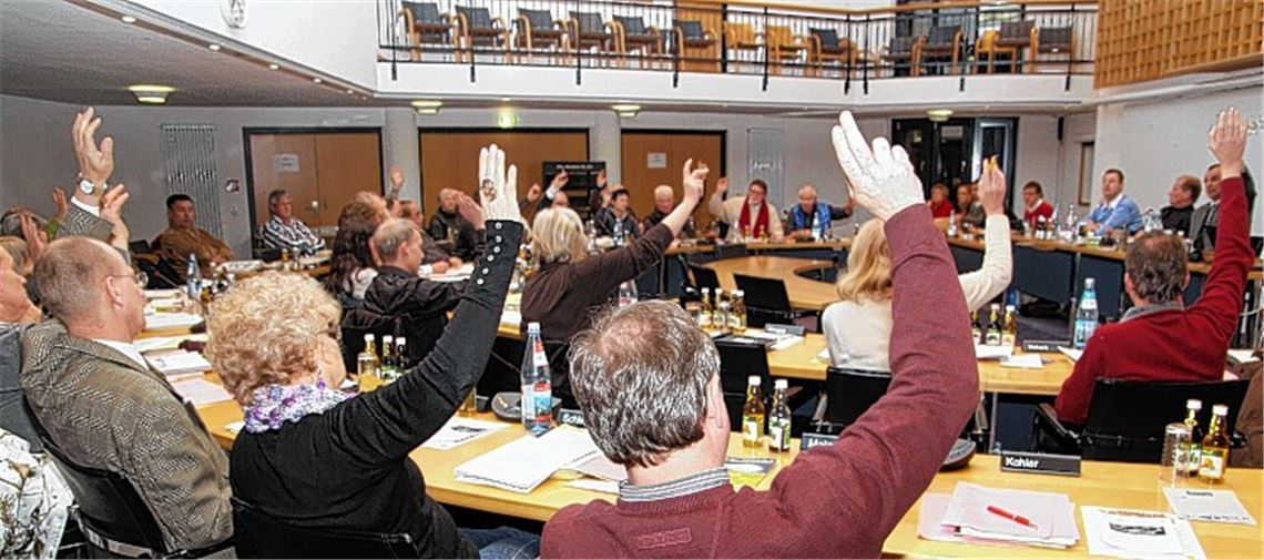 Wer will noch mal? Die meisten der 36 Stadträte und Stadträtinnen werden sich 2014 erneut um ein Mandat bewerben. Mindestens zwei sagen allerdings dem Ratssaal Ade.Archivfoto: Sadler