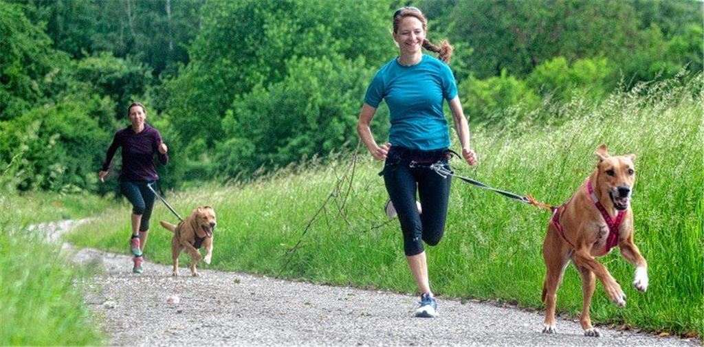 Lauf, Frauchen, lauf!