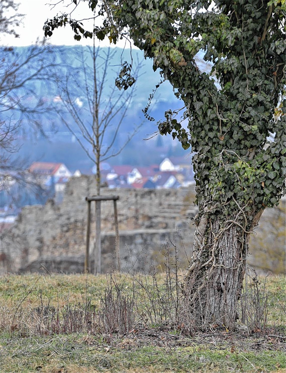Burganlagen sollen aufblühen