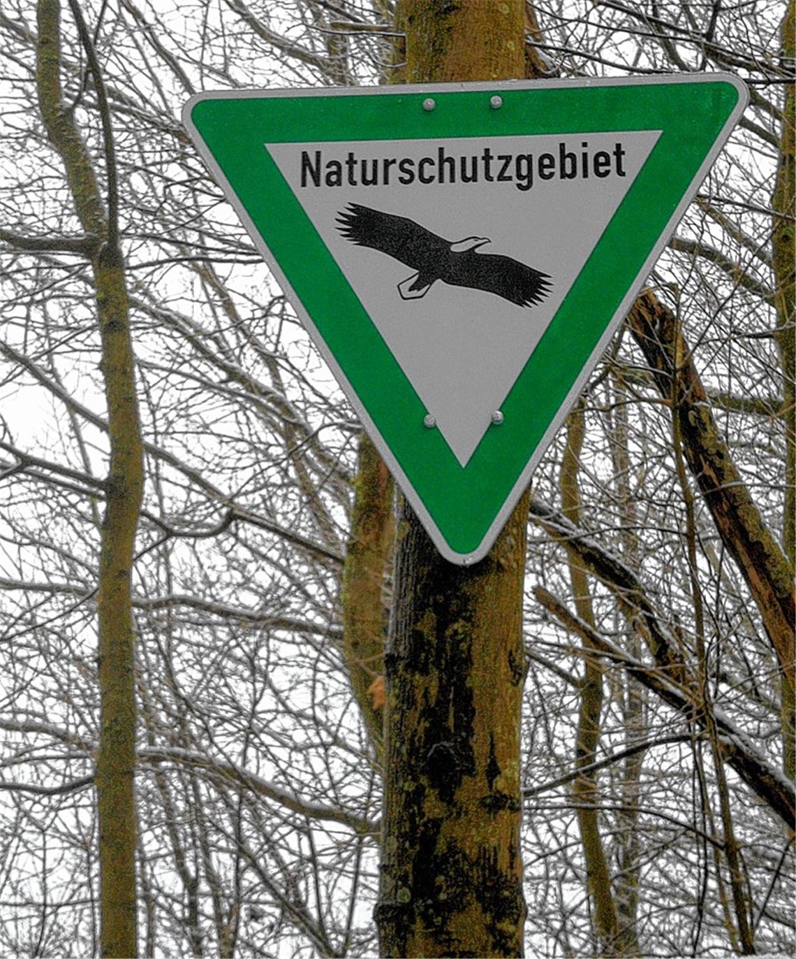 Ziegelhäule: Pflegekonzept läuft an