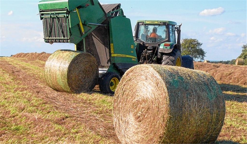 Wetter sorgt bei Heuernte für Verspätung