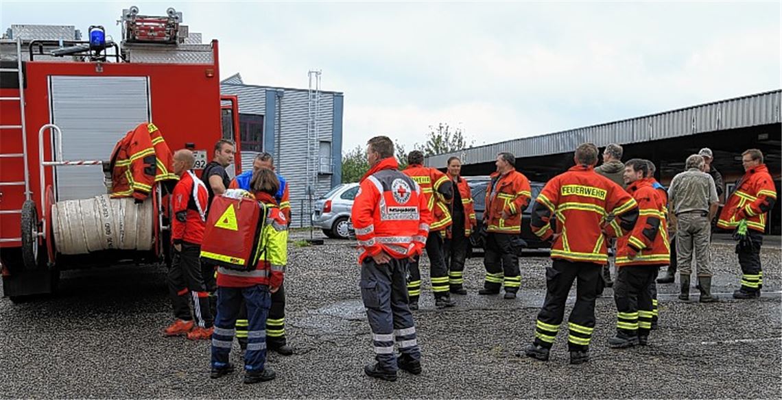Wespennest löst Feuerwehreinsatz aus