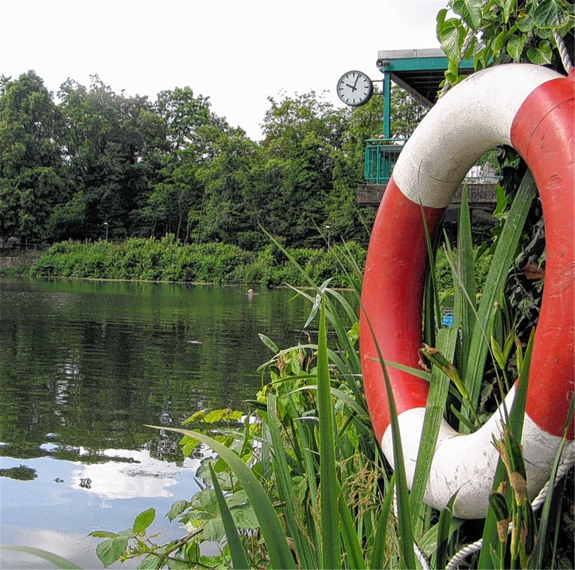 Wie die Rettung des Tiefen Sees in Maulbronn gelingen könnte, ist unklar. 