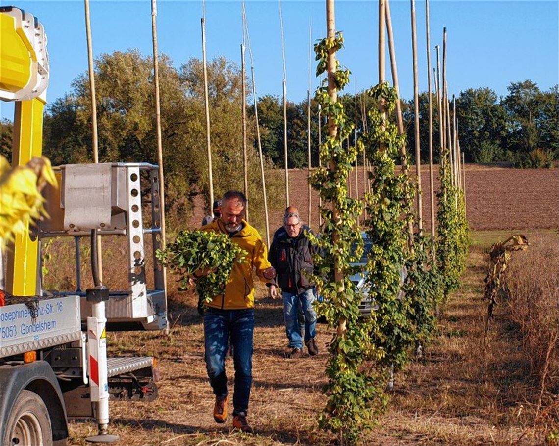 Das ganz besondere Aroma