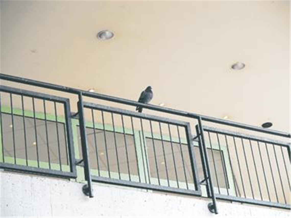 Wie geht es weiter? Auch die wenigen Mühlehof-Bewohner harren der Dinge.
Archivfoto: Eier