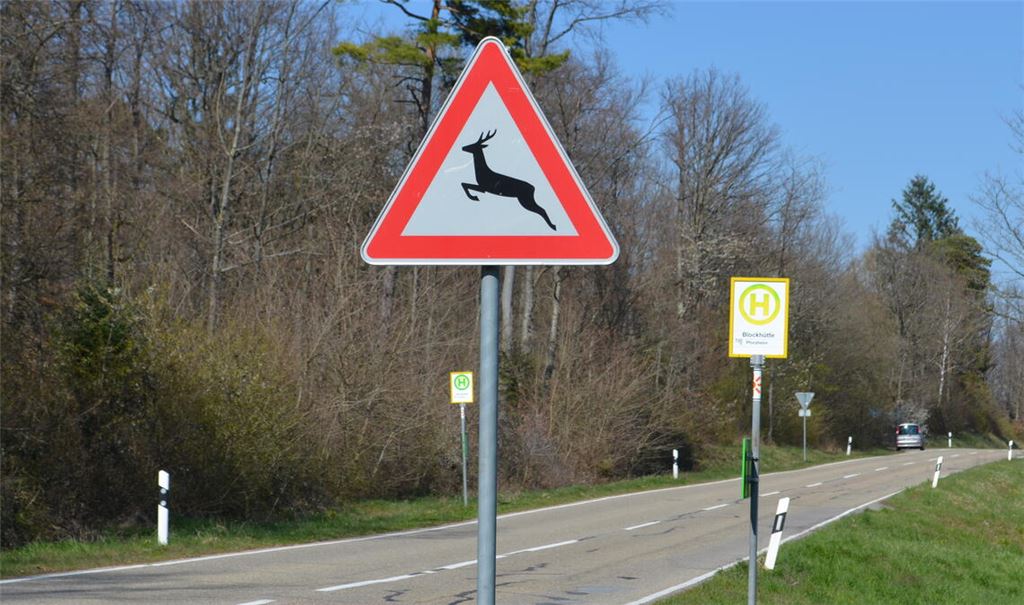 Wie hier an der Landesstraße 339 bei Keltern-Niebelsbach warnen Schilder an Unfallschwerpunkten. Foto: Landratsamt/Brenneis