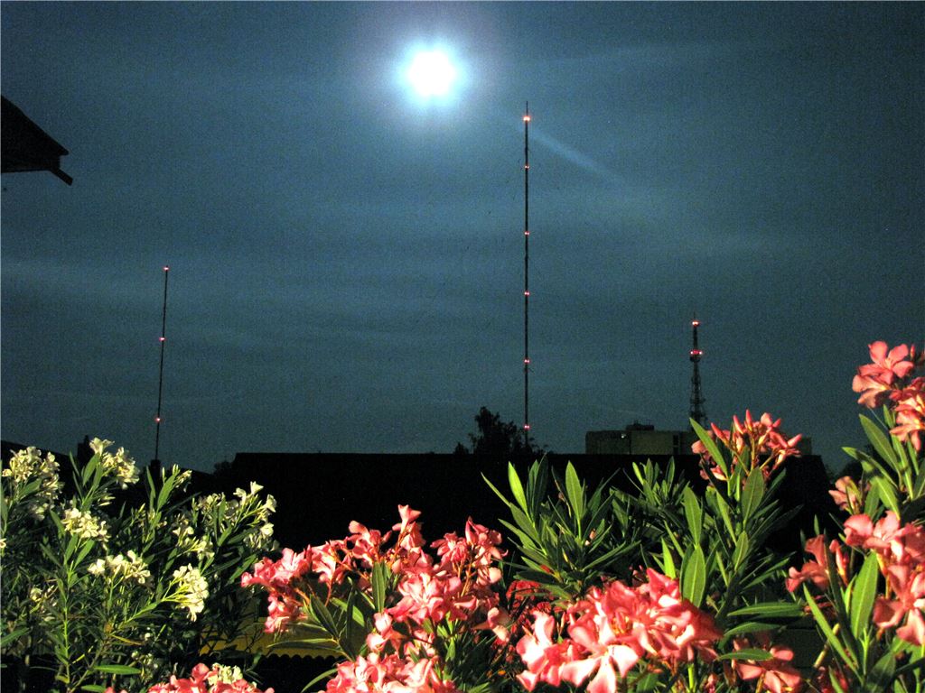 Wie lange sehen wir ihn noch im Mondlicht? (Foto: Wolfgang Dorn)