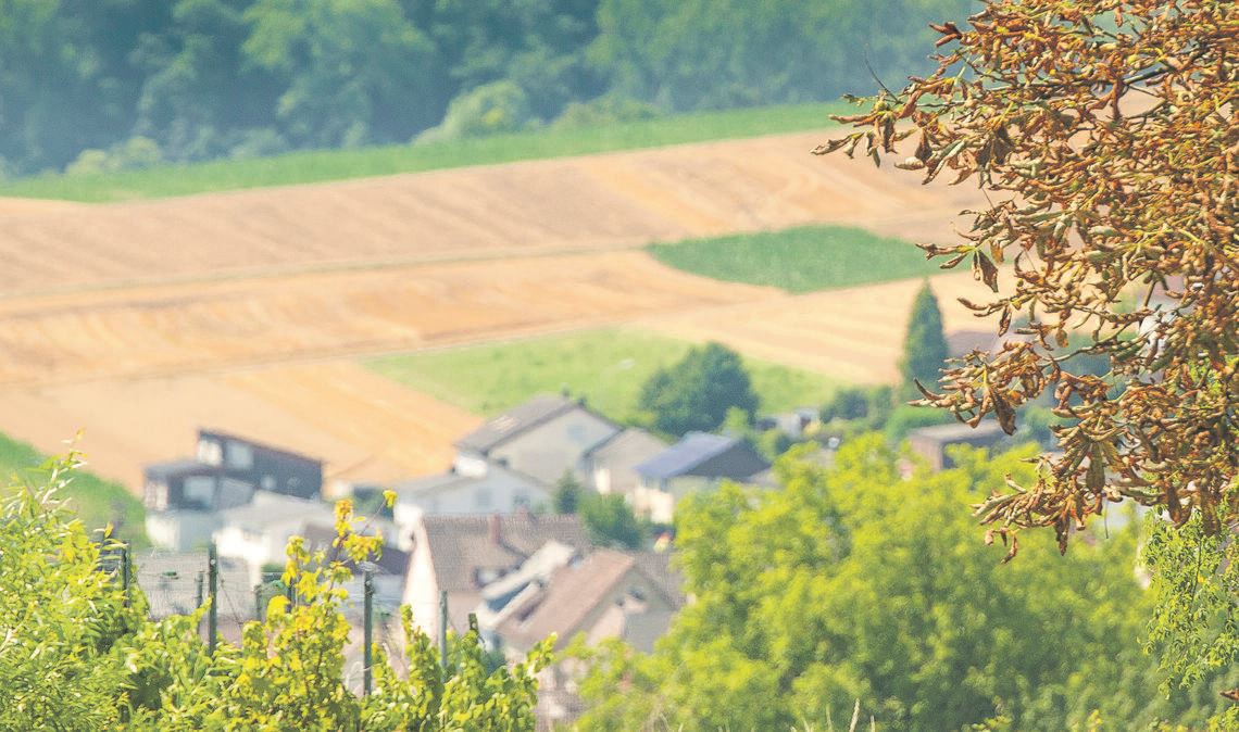 Wie sich die Grundsteuerreform auswirkt ist im Einzelfall noch unklar. Fest steht jedoch, dass es für manche Eigentümer deutlich teurer wird. Darauf will der Gemeinderat Mühlacker reagieren. Foto: Archiv