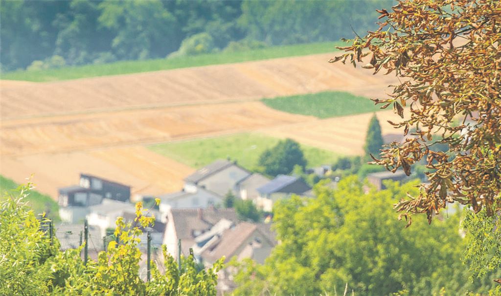Wie sich die Grundsteuerreform auswirkt ist im Einzelfall noch unklar. Fest steht jedoch, dass es für manche Eigentümer deutlich teurer wird. Darauf will der Gemeinderat Mühlacker reagieren. Foto: Archiv