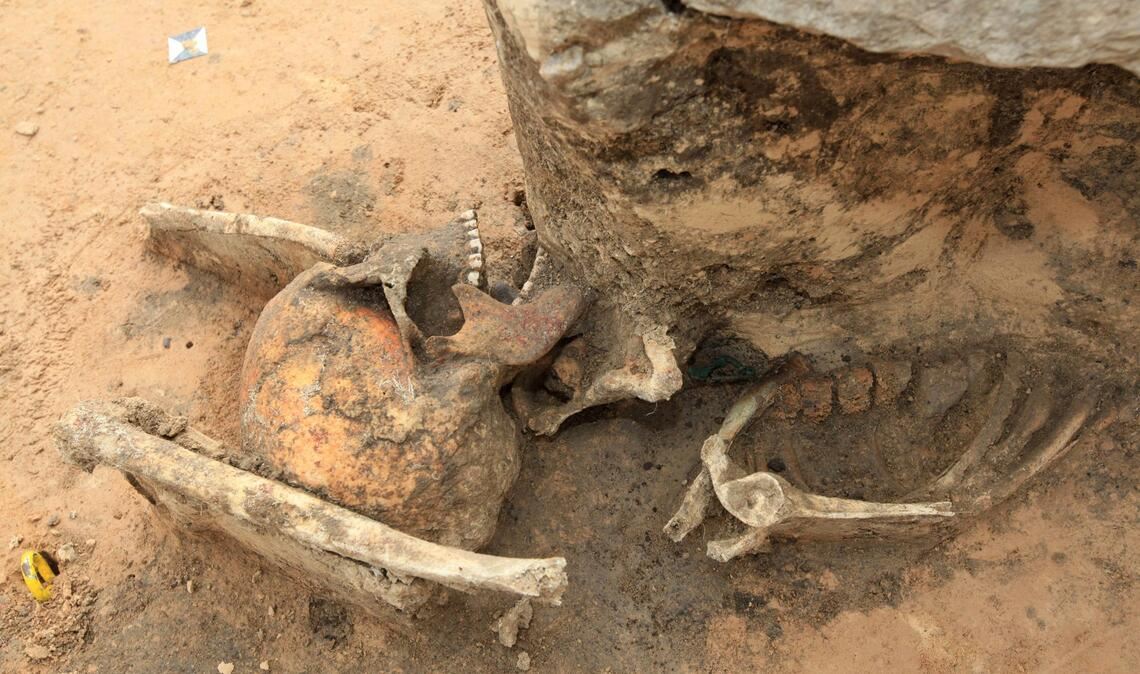 Wiedergängergrab: Bei Ausschachtungen für eine ICE Trasse in Klein Gräfendorf in Sachsen fanden Archäologen das Skelett eines Mannes, das   mit riesigen Steinen beschwert worden.