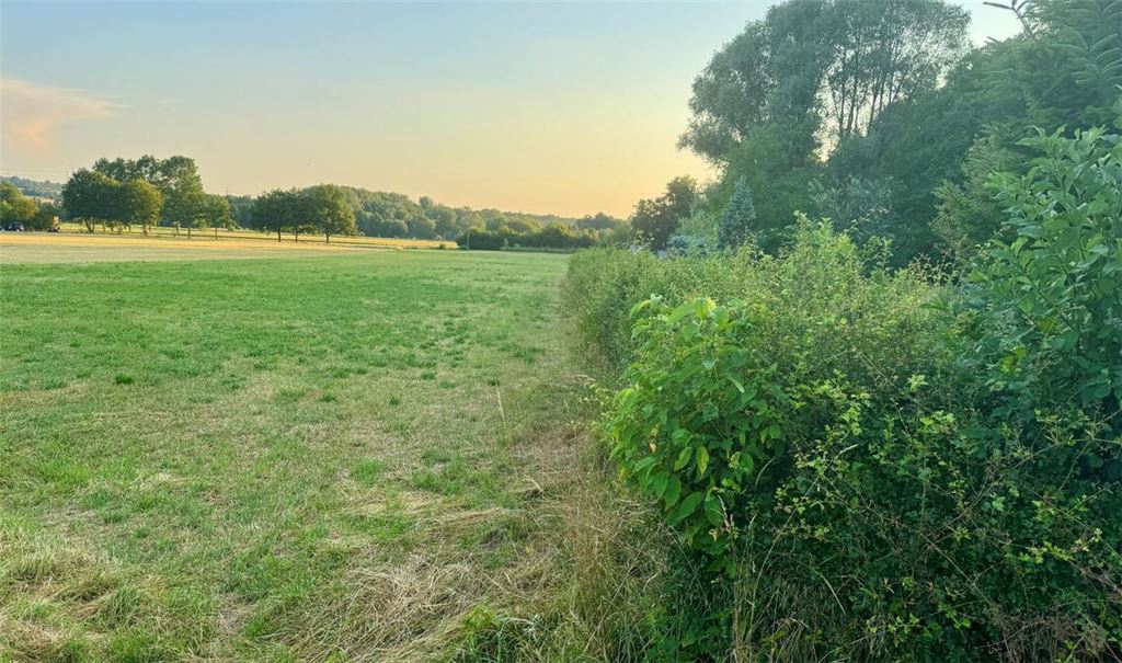 Wiesen, Hecken, Wälder und Streuobstbäume prägen das Landschaftsbild in Ötisheim. Aber leider geht die Biodiversität immer weiter zurück. Foto: Goertz