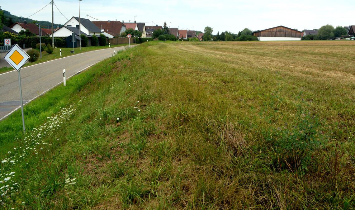 Wiesenböschung und Acker statt Feuerwehrhaus: Das wird in Schützingen länger als geplant so bleiben. Nicht nur der Bürgermeister dürfte darüber enttäuscht sein. Foto: Stahlfeld