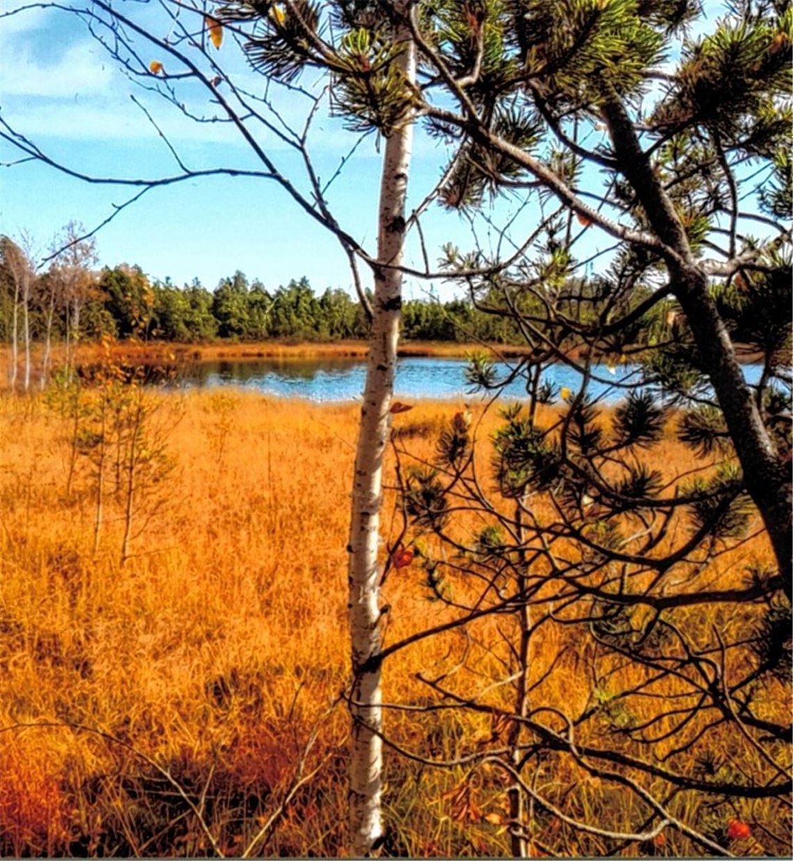 Herbstfarben Herbstfarben