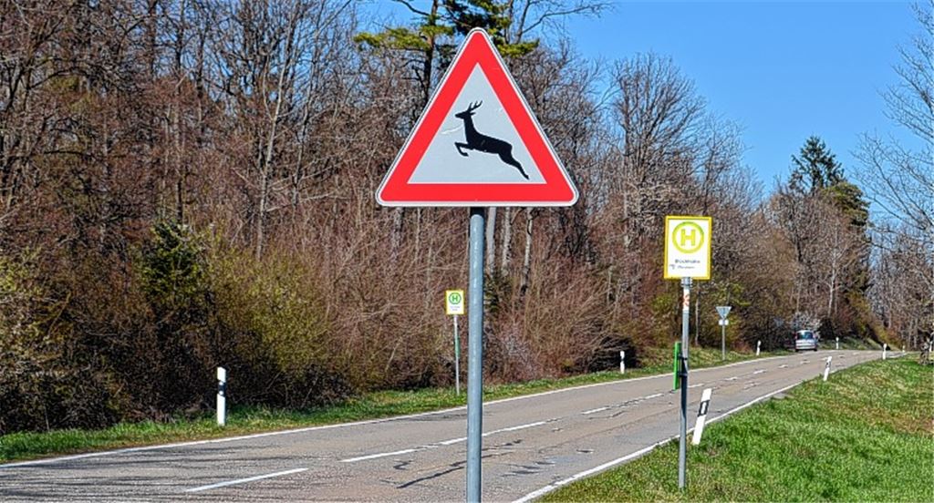 Wildwechsel