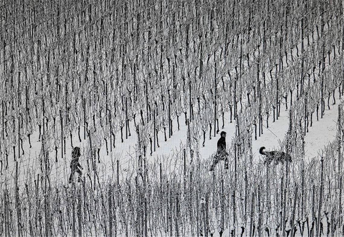 Zwischen Lienzingen und Venedig