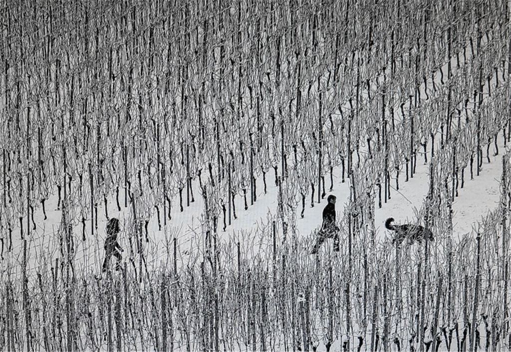 Zwischen Lienzingen und Venedig