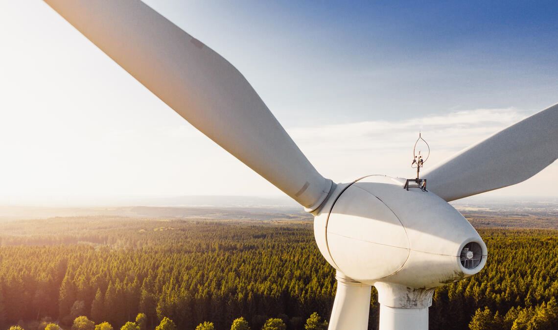 Windkraftanlagen im Wald zwischen Großglattbach und Serres – ja oder nein? Für die Initiative „Vernunftenergie Platte“ ist die Antwort klar. Symbolfoto: Archiv