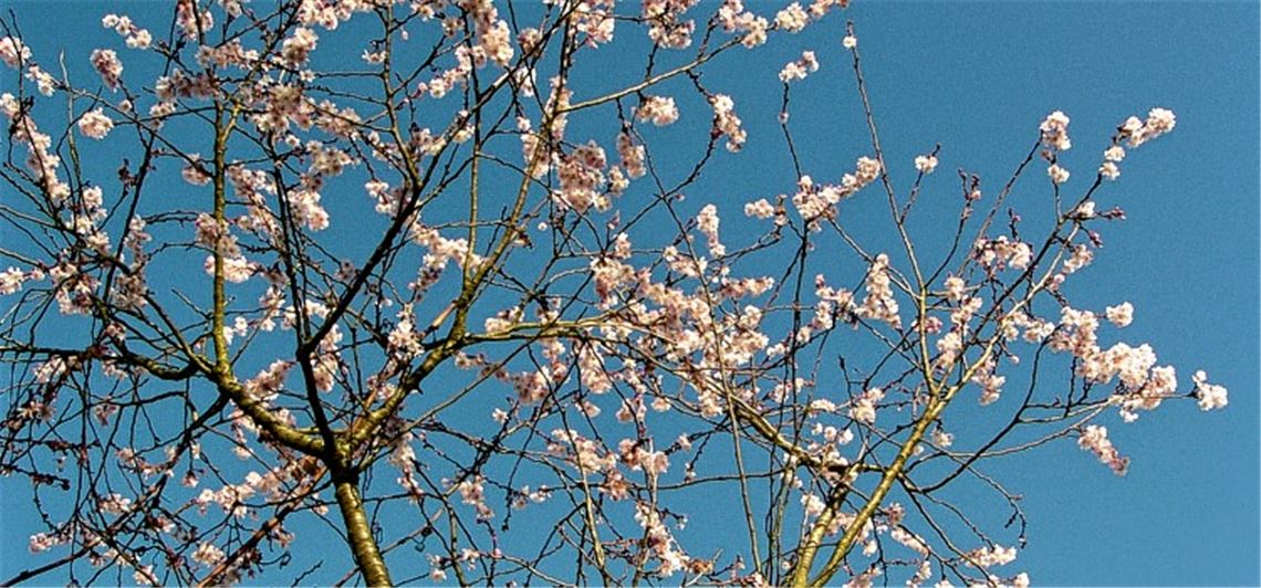 Winterbilder Winterbilder