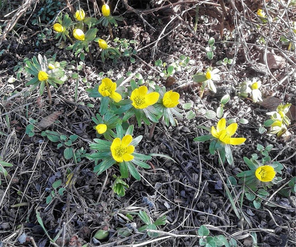 Frühlingsgefühle