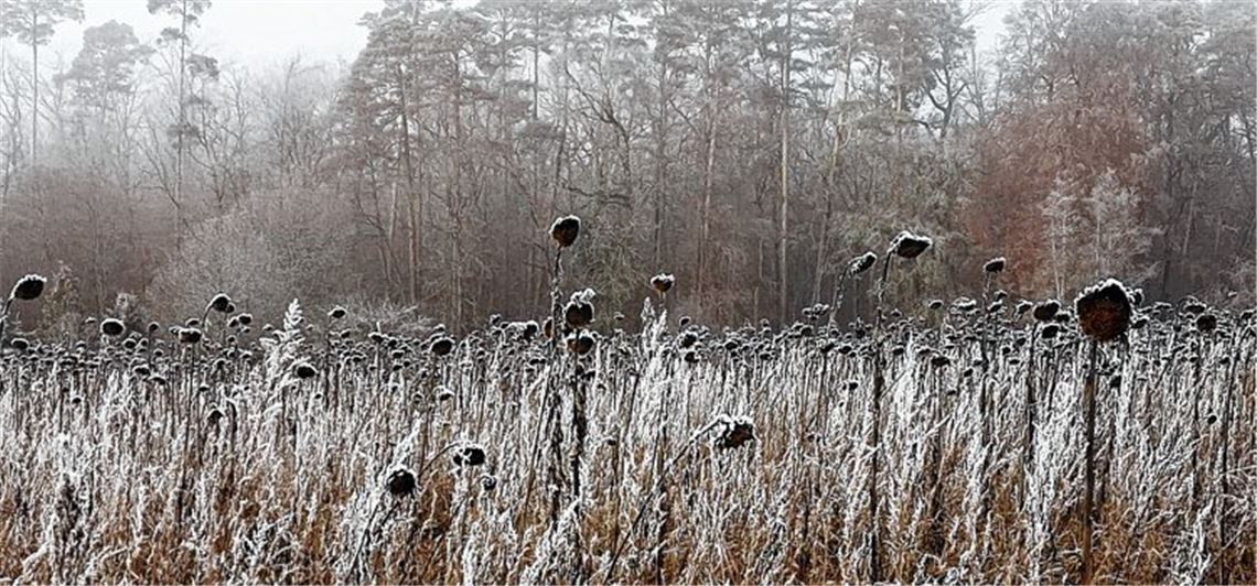 Winterzeit Winterzeit