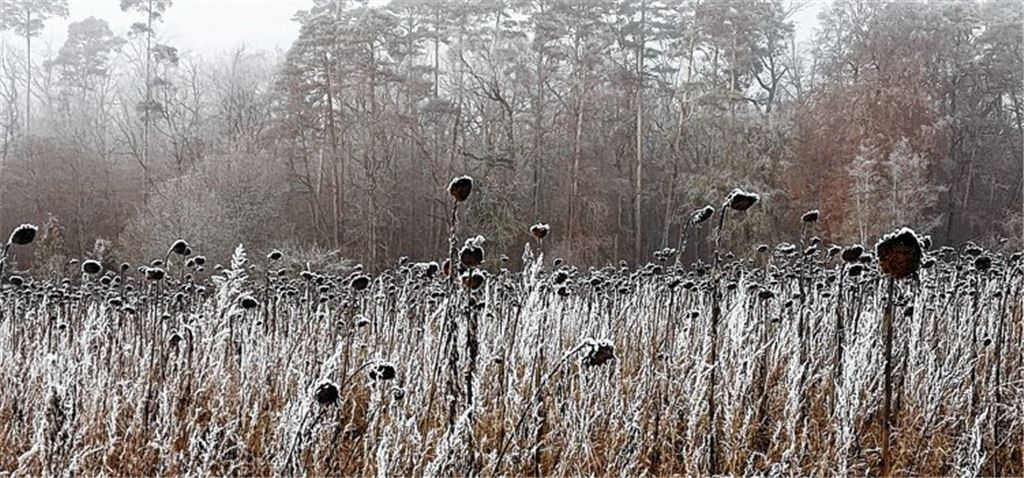 Winterzeit