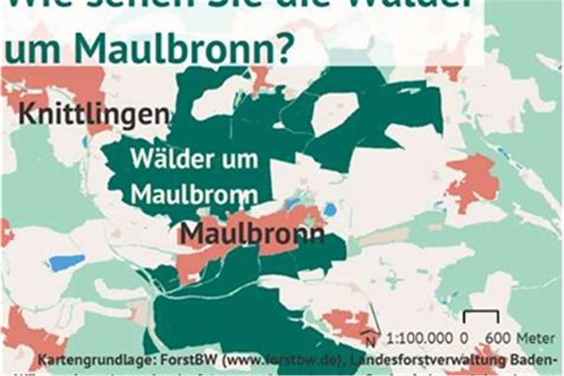 Umfrage zur Waldnutzung läuft „Wir wollen mehr über unsere Waldnutzer und ihre Interessen wissen“, sagt Tim Westermann, Stabsstelle Klima- und Umweltschutz der Stadt Maulbronn. Grafik: privat