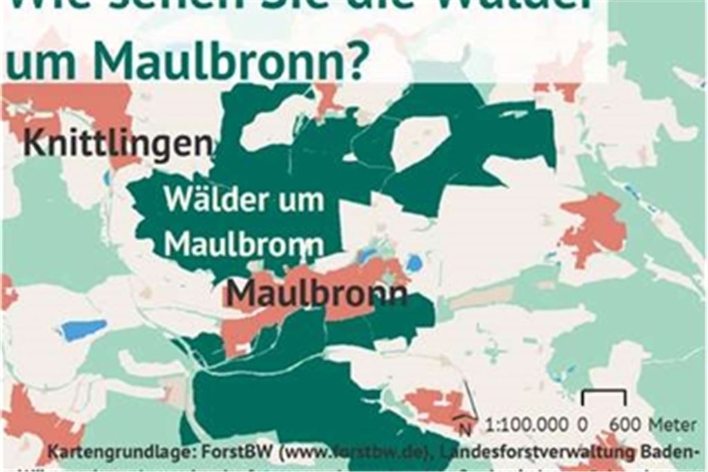 „Wir wollen mehr über unsere Waldnutzer und ihre Interessen wissen“, sagt Tim Westermann, Stabsstelle Klima- und Umweltschutz der Stadt Maulbronn. Grafik: privat
