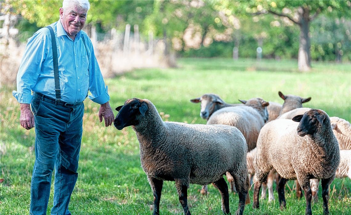 Wird heute 80 Jahre alt: Theo Bellon, Schafhalter und „Schultes vom Sennich“. Foto: Fotomoment