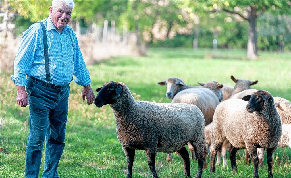 Wird heute 80 Jahre alt: Theo Bellon, Schafhalter und „Schultes vom Sennich“. Foto: Fotomoment