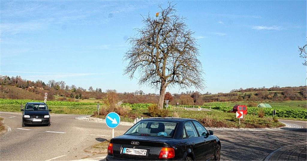 Wird vorerst nicht gefällt: der Birnbaum auf dem Kreisverkehr kurz vor dem Lomersheimer Ortseingang aus Richtung Illingen.