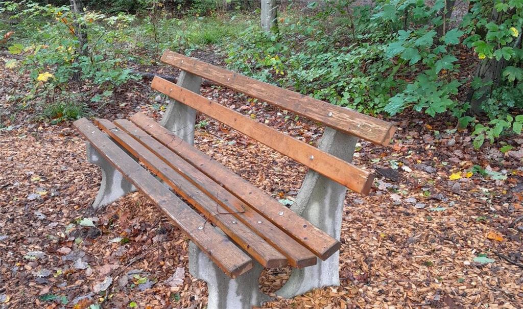Wo Sitzbänke zum Verweilen einladen, ist der Waldbesitzer für die Sicherheit zuständig. Foto: Forstamt Enzkreis