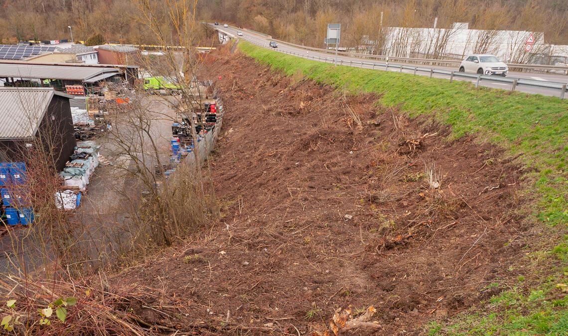 Wo bislang ein schmaler Berg- und Tal-Schotterweg in Richtung Eisenbahnbrücke führte, haben die Arbeiten für den Höhenausgleich an der Böschung begonnen. Fotos: Fotomoment