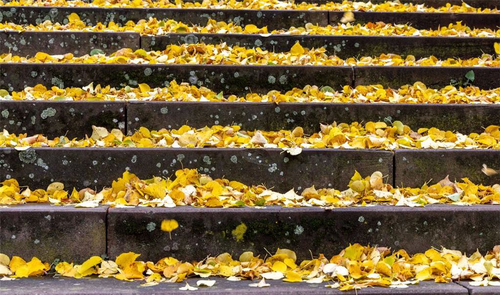 Wohin mit den Bergen von Laub? Diese Frage stellt sich für Gartenbesitzer jedes Jahr wieder.