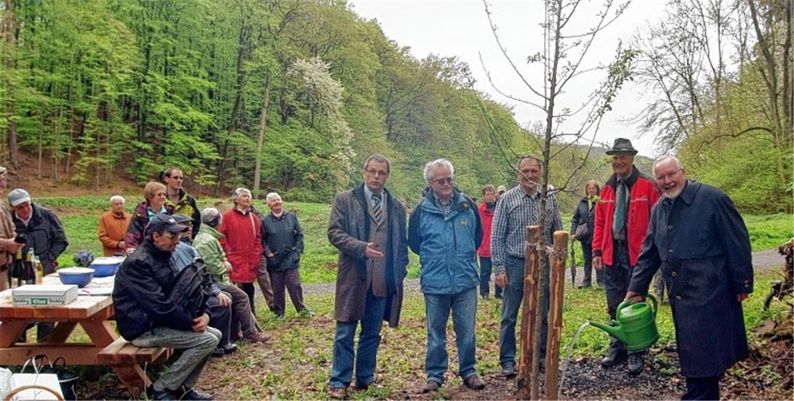 Wolfgang Radke, Peter Pfitzer, Andreas Lang, Wolfgang Schlund und Andreas Felchle (v. re.) pflanzen einen Wildapfelbaum.
