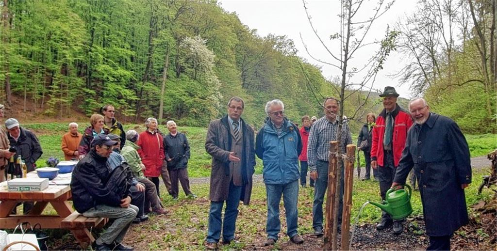 Wolfgang Radke, Peter Pfitzer, Andreas Lang, Wolfgang Schlund und Andreas Felchle (v. re.) pflanzen einen Wildapfelbaum.