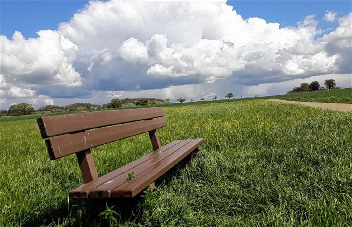 Frühlingsgefühle Frühlingsgefühle