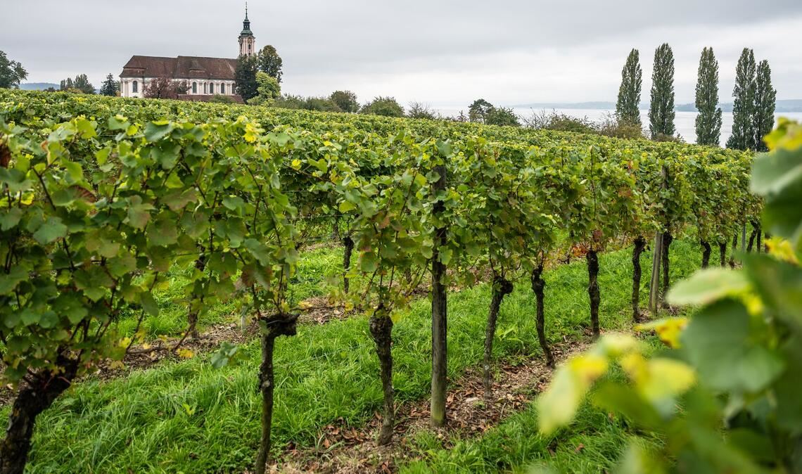 Wolkenverhangen zeigten sich große Teile Deutschlands in diesem Monat. (Archivbild)