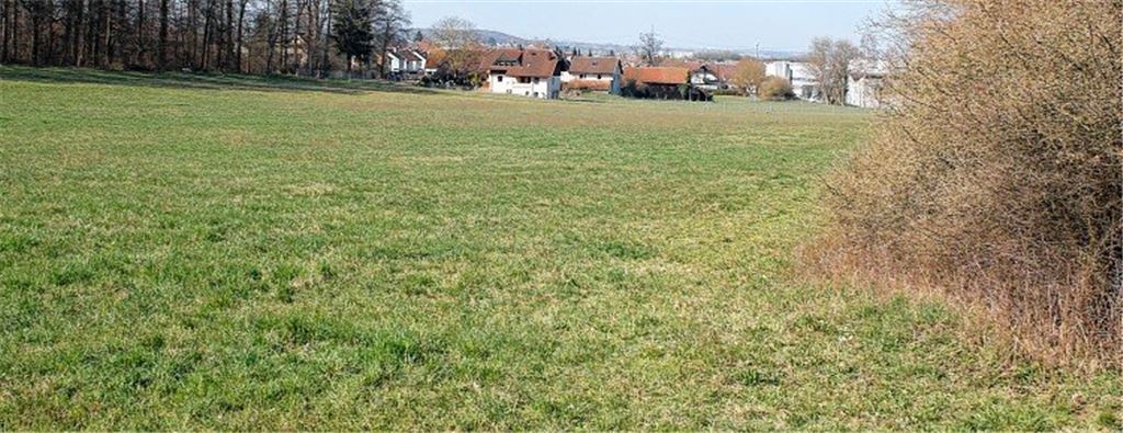 Marionette? OB stellt Strafanzeige