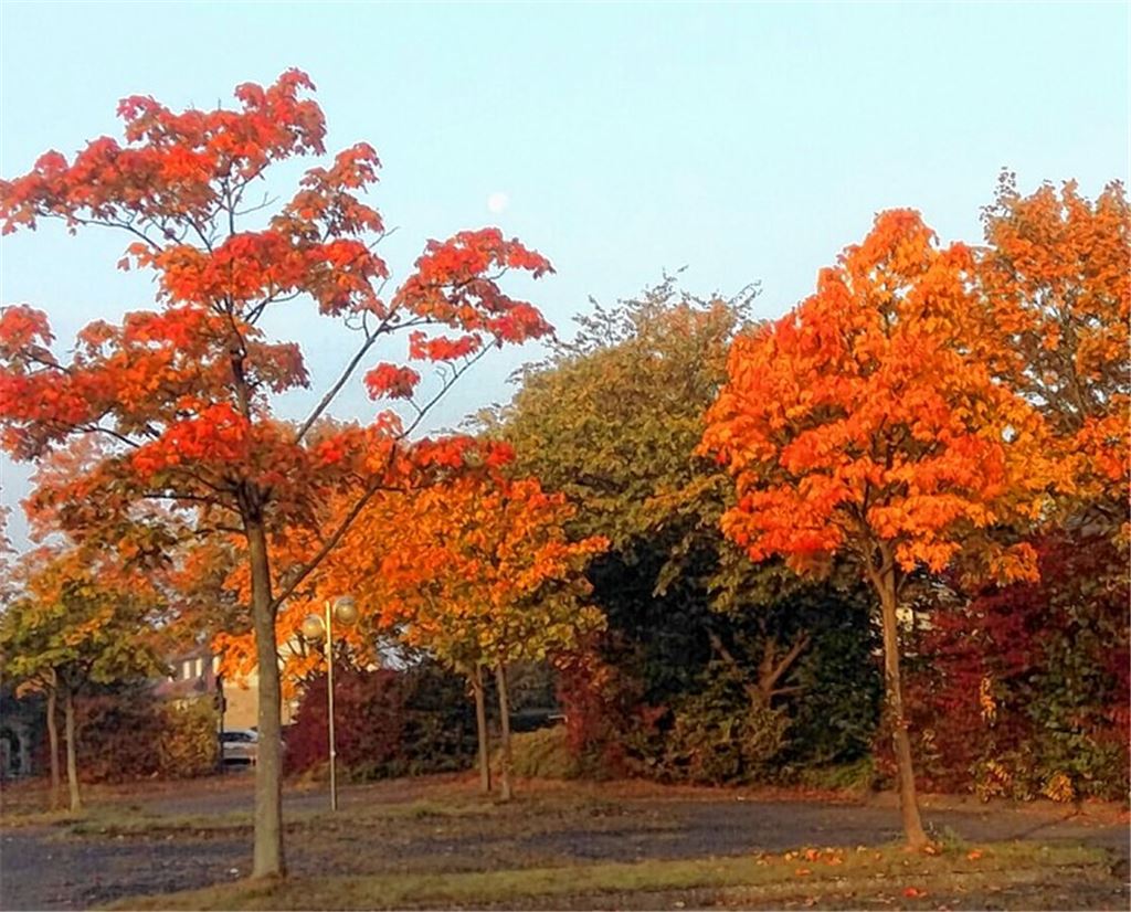 Herbstfarben