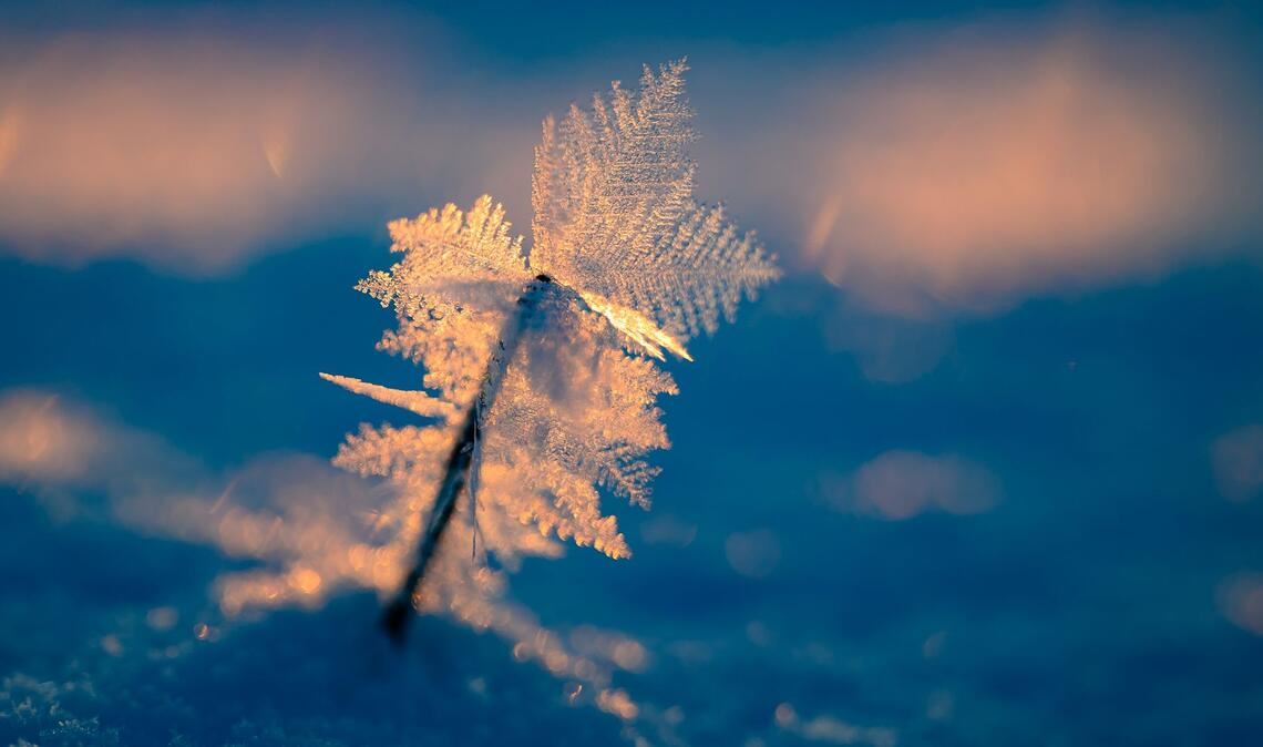 Zauberhafter Wintermorgen bei Eiseskälte.