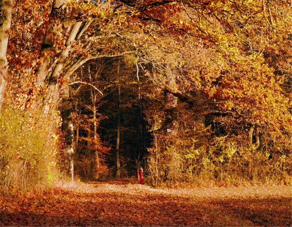 Herbstfarben